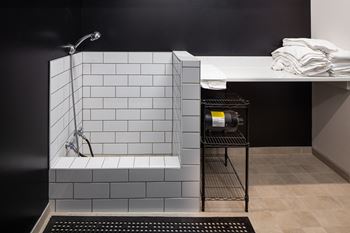 Dog Wash at Mercantile on Broadway, Fargo, North Dakota, 58102